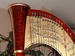 Arpa da concerto 47 corde doppio movimento