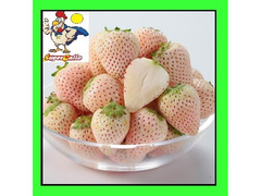 Fragola lucida