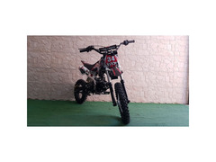 PIT BIKE BULL A MARCE 125CC R14-12
