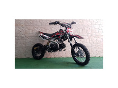 PIT BIKE BULL A MARCE 125CC R14-12