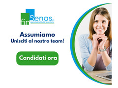 Ricerca Commerciale