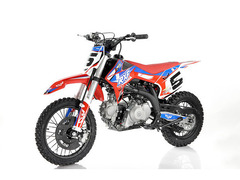 PIT BIKE RXF JUNIOR110CC