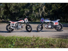 BIKE FLAT TRACK BIKE S 147