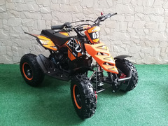 MINIQUAD RAPTOR 49CC R4