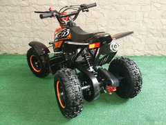 MINIQUAD RAPTOR 49CC R4