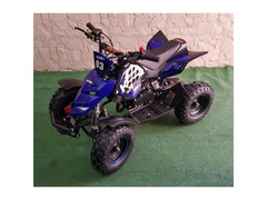 MINIQUAD RAPTOR 49CC R4