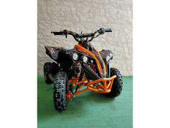 MINIQUAD DEFENDER XXL 49 CC R6