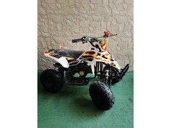 MINIQUAD FOX XXL 50CC 2 TEMPI RACING