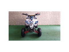 MINIQUAD FOX XXL 50CC 2 TEMPI RACING