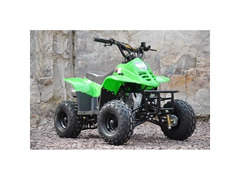 QUAD ATV 110 BAMBOO RUOTE 6 4 TEMPI 110CC