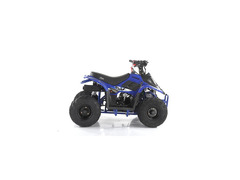 QUAD MIKRO 110CC