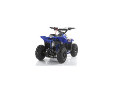 QUAD MIKRO 110CC