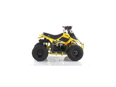 QUAD MIKRO 110CC