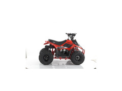 QUAD MIKRO 110CC