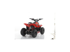 QUAD MIKRO 110CC