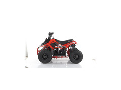 QUAD MIKRO 110CC