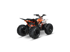 QUAD AT 125 PREDATOR 4 TEMPI