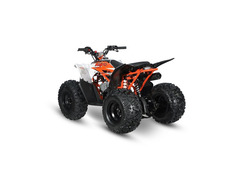 QUAD AT 125 PREDATOR 4 TEMPI