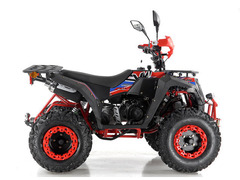 QUAD COMMANDER 200 T3B EURO 5