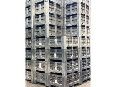 Cassoni in plastica bins usati