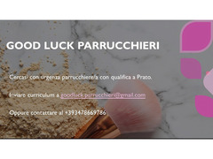 Parrucchiere con qualifica