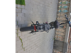 BICICLETTA ELETTRICA