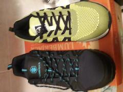 Scarpe sportive