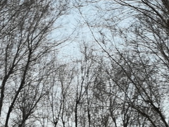 Collaborazioni per film