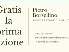 Lezioni di adestramento gratis le prime 2 lezioni