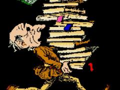 Lezioni di metodo di studio e memoria