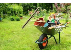 Servizio di Giardinaggio