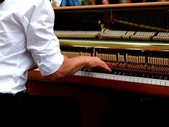 Pianista professionista a Cremona