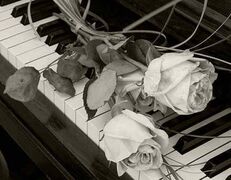 Organista musica funerale Fidenza