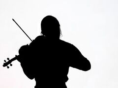 Violinista Busto Arsizio