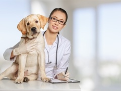 Assistente Tecnico Veterinario con ESPERIENZA