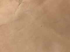 Scampolo pelle a vegetale naturale – VH6