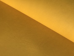 Fianchi a vegetale colore giallo limone