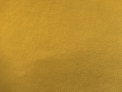 Fianchi a vegetale colore giallo limone