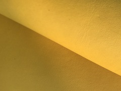 Fianchi a vegetale colore giallo limone