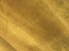 Fianchi a vegetale  Pull Up colore giallo - FV9
