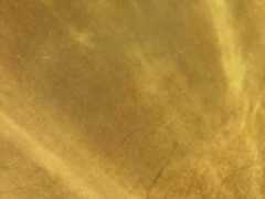 Fianchi a vegetale  Pull Up colore giallo - FV9