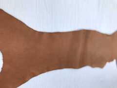 Fianchi a vegetale anilina colore Miele