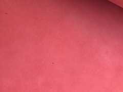 Fianchi a vegetale colore rubino – FK8