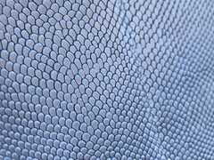 Pellame a vegetale stampa squama colore azzurro