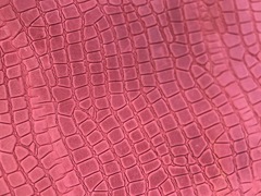 Pellame a vacchetta stampato colore rubino