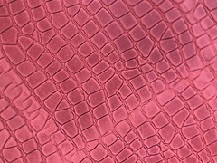 Pellame a vacchetta stampato colore rubino
