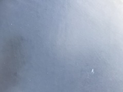 Cuoio per cinture Nero