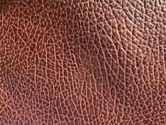 Pelle stampa elefant colore marrone