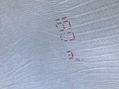 Pelle stampa lucertola colore camel
