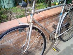 bicicletta d'epoca da uomo